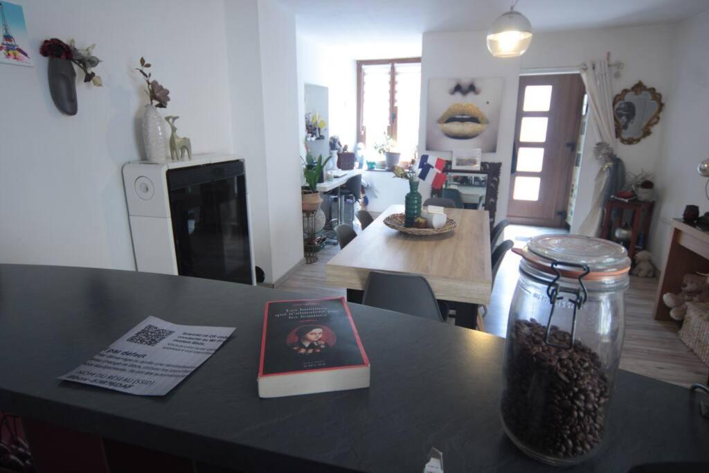 Appartement 90 M2 Vic-sur-Seille Extérieur photo